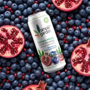 Blueberry Pomegranate Delta-9 THC Beverage — 4-Pack | Hemp-Infused Social Drink