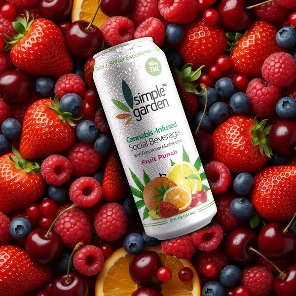 Fruit Punch Delta-9 THC Beverage — 4-Pack | Hemp-Infused Social Drink