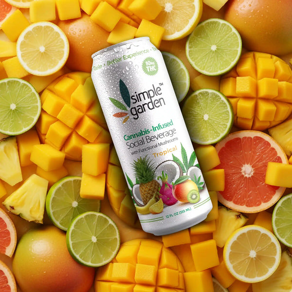 Tropical Delta-9 THC Beverage — 4-Pack | Hemp-Infused Social Drink