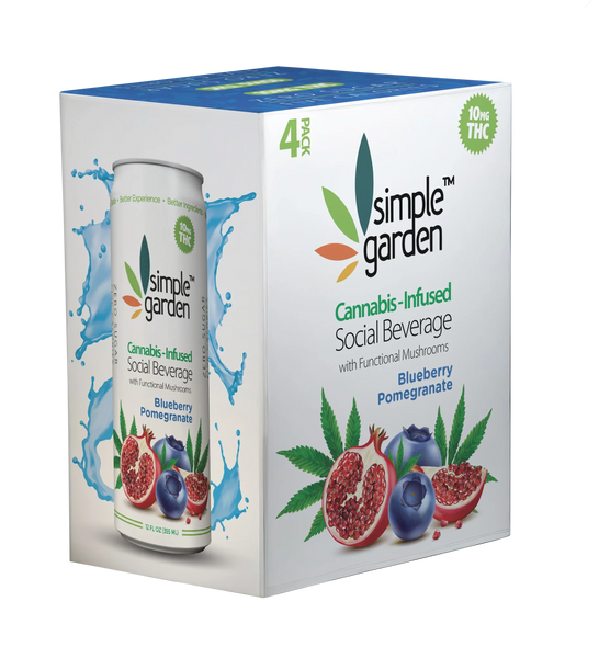 Blueberry Pomegranate Delta-9 THC Beverage — 4-Pack | Hemp-Infused Social Drink