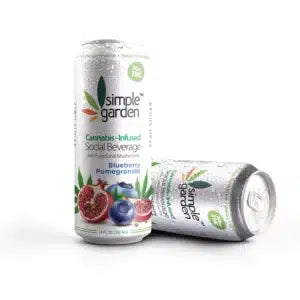 Blueberry Pomegranate Delta-9 THC Beverage — 4-Pack | Hemp-Infused Social Drink
