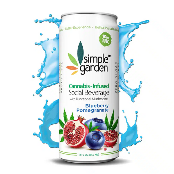Blueberry Pomegranate Delta-9 THC Beverage — 4-Pack | Hemp-Infused Social Drink